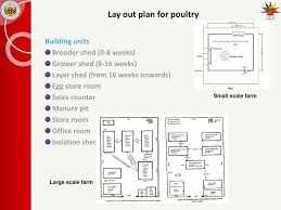 There are 359 farm office display for sale on etsy, and they cost 38,79 $ on average. Layout Plan For Piggery Ppt Download