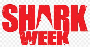 Free Free 68 Shark Week Svg SVG PNG EPS DXF File