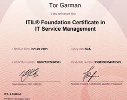 Investigating the design of effective gamification. Teddie G Svp Information Technology Iu Credit Union Linkedin