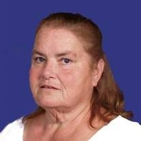 Susan Ann Bolman Obituary (2023)