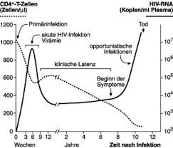 Hiv Infektion Lexikon Der Biologie