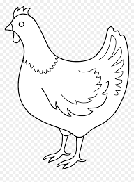 Pikbest >png images > chicken clipart black and white side hen. Transparent Chicken Clipart Png Chicken Drawing Png Download Vhv