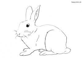 Hase zeichnen in der einfach und schlicht helfen dem anfänger und kinder beobachten und zeichnung an der grundausbildung über einen hase ist es notwendig die entwicklung der zeichenfähigkeiten. Hase Malvorlage Kostenlos Hasen Ausmalbilder