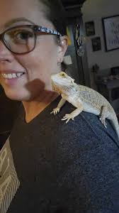 This is Athena.. she is our first bearded dragon ever. We got her about 6  months ago and we just love her so much!!! She is a year and a half.