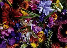Flowers free online jigsaw puzzles on thejigsawpuzzles.com. Heye Jigsaw Puzzle At Puzzle Palace Australia