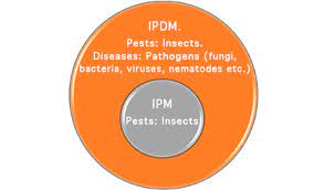 After this we will start to learn these concepts in details and also try to solve many problems and past year papers. Integrated Pest Management Focus On Production Responsibility Croplife Latin America