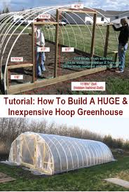 Cheap mini greenhouse for seed starting 2021 | family food garden. Diy Permanent Hoop Chicken Coop Free Plans Diy Greenhouse Diy Greenhouse Plans Backyard Greenhouse