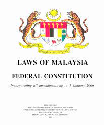 Which ariticle in the us constitution explains the powers and duties of the legislative branch of our national government? The Fudged Article 95b 3 And 8 J