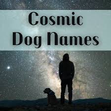 My kids love to visit the store and see what new things have arrived since our last visit! 90 Cosmic Names For Dogs From The Heavens Science And Sci Fi Pethelpful