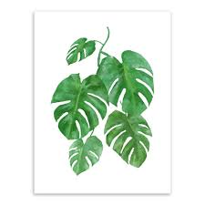 W07 Fresh Watercolor Tropical Plant Leaves Canvas Art Print Poster Wall Pictures For Home Modern Minimalist F Plant Painting Nature Wall Art Nature Canvas Art