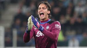 Image result for Ochna angustata