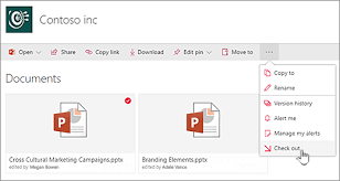 What type of vehicle are you driving? Check Out Or Check In Files In A Document Library Office Support