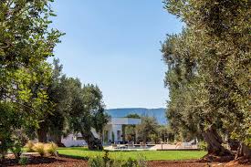 Вино azienda agricola lomazzi e sarli kalos malvasia nera i.g.t. Terrarossa Villas In Puglia The Thinking Traveller