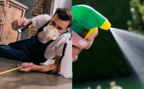 I purchase a bottle and the wand stop spraying so i purchased another bottle and the same thing happen to the. Best Insecticide Bug Spray And Pest Control Reviews 2021