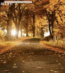 Html Responsive Full Page Image Using Css Geeksforgeeks Plus you can specify its position, whether it should repeat across the page, how it should repeat etc.