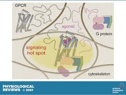 Hotărarea nr 1091 2006 privind cerințele minime de securitate și sănătate pentru locul de muncă pdf ghid aplicare hg 1053 referitoare la zgomot ocupational cristian mihai aldea academia edu. Vqqutha A5yjem