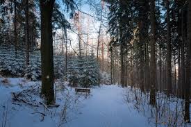 Mit Hunger Zum Unger Winterwanderung Rund Um Neustadt Elbsandsteingebirge Sachsische Schweiz In 2020 Elbsandsteingebirge Sachsische Schweiz Aussichtsturm
