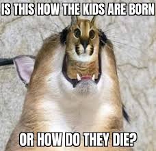 High quality floppa meme gifts and merchandise. Floppa I Make Bad Memes Haha Facebook