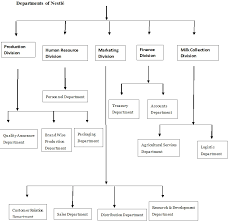 Organizational sturcture of nestle profile of managing director of nestle in malaysia aloishofbauer, managing director of nestlé malaysia. Nestle Organizational Structure Design