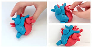 How To Make A 3d Heart Model Valentine Stem Paper Crafts Diy Valentine Activities