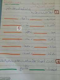 اوراق عمل في اللغة العربية للصف الثالث الفصل الاول اعداد آلاء سليم