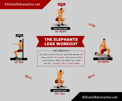 the elephant legs calisthenics workout