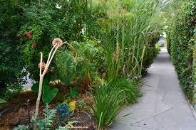 Ron Finley In His South Los Angeles Garden Shawna Coronado Guerrilla Gardening Easy Garden Garden