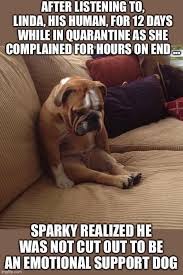 Great job jeremy are words of encouragement directed at sony senior producer jeremy ray by zindagi games president umrao mayer during a demonstration of the game medieval moves: These Dog Memes Explain Exactly How We Feel About Quarantine Urbanmatter