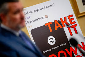 Democrats and Republicans have one common enemy: pornographic deepfakes |  The Independent