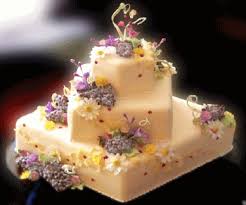 cake gif 2 | funny gifs,gif