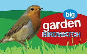 Counting sheet from the rspb big garden birdwatch, issued in 2014. Rspb Big Garden Birdwatch Ridley Park