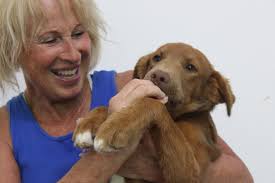 Pensacola meet and treat for dogs