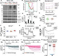 Check spelling or type a new query. Mitochondria Supply Atp To The Er Through A Mechanism Antagonized By Cytosolic Ca2 Elife