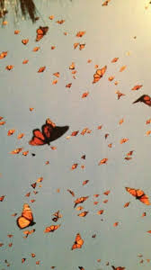 We did not find results for: Aesthetic Wallpapers Computer Butterfly Novocom Top