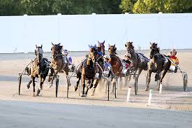 Retama will play host to both camel and ostrich races! Ocean Downs Live Racing Ocean Downs Casino