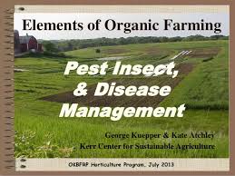 Weeds, disease organisms keep organic mulch, pine straw. Elements Of Organic Farming Pest Insect Disease Management