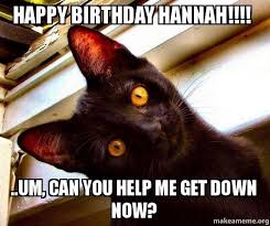 At memesmonkey.com find thousands of memes categorized into thousands of helpful non helpful. Happy Birthday Hannah Um Can You Help Me Get Down Now Overly Attached Cat Make A Meme