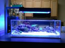 Custom Ecoxotic Panorama Pro Light Stand Do It Yourself Coral Reef Aquarium Saltwater Aquarium Reef Aquarium