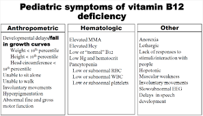 What Is Vitamin B12 And Why Is It Important