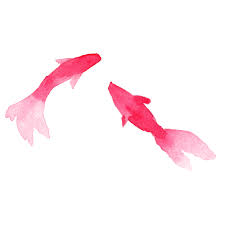 金魚sui Sai水彩画イラストフリー素材集