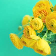 Search for flowers with us. To Smile When We See A Flower That Is Happiness Flowers Photography Floral Photography Flowers