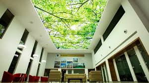 A guide to different types of ceiling designs. Types Of Stretch Ceilings Home Tips