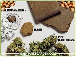 Image result for hashish