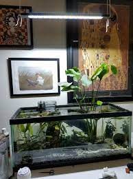 Fish tanks, filters, air pump, birds Looking For A Topsoil For Aquarium Check Comment Plantedtank