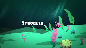 Then, make an anchor chart of the stages that can be referred to throughout the. The Life Cycle Of Jellyfish Youtube