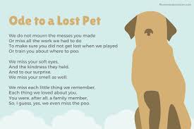 The poems above were more general in their tone and aimed at the loss of a non specific pet. Beautiful Pet Loss Poems To Grieve A Beloved Pet Poems And Occasions