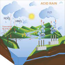 La lluvia ácida afecta a la fase aérea del ciclo del agua y es una de las principales formas de contaminación atmosférica. Cuales Son Las Posibles Soluciones De La Lluvia Acida Conocelas Aqui