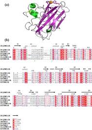 Or form 60 (overleaf) *date of birth d d m m y y y y. Establishing Inorganic Biological Hybrid Photoelectrochemical Platform Towards Sustainable Conversion Of A Chitin Sciencedirect