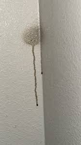 If you see these 3 things in a motel or hotel room, check out immediately  GOO TO THE FIRST COMMENT...........