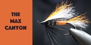 Again, pull any extra fluff out to make a neat, smooth transition. How To Tie A Max Canyon Fly Tying Tutorial Wet Fly Swing